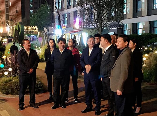 巴中市委副书记、市长何平一行视察枣子巷中医药特色街区